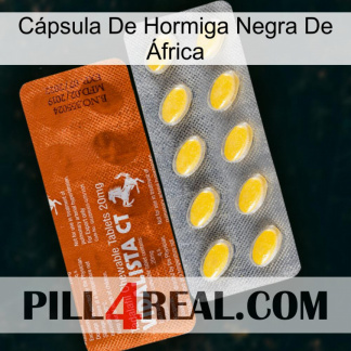 Cápsula De Hormiga Negra De África 42